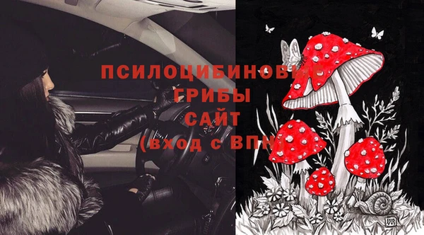 прущие крисы Алексеевка