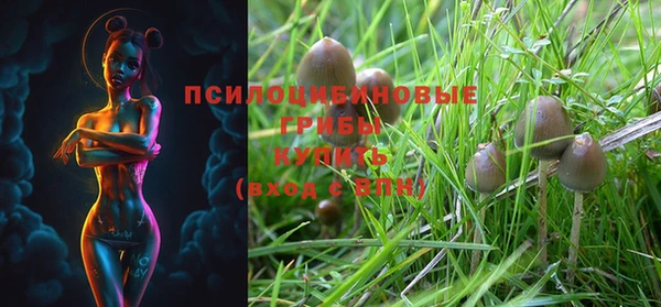 mdma Касимов