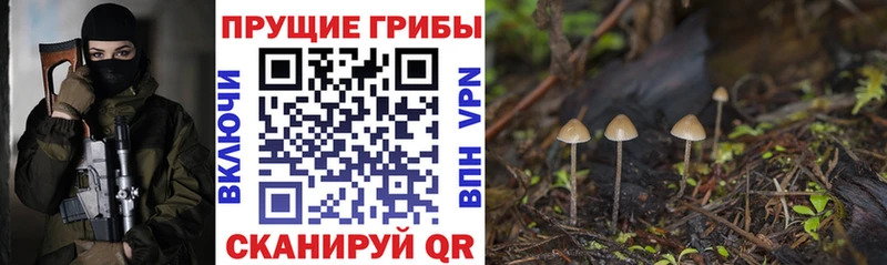 что такое   Алагир  Галлюциногенные грибы мицелий 